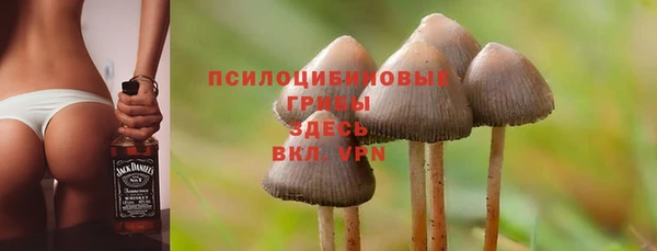 экстази Касимов