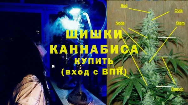 экстази Касимов